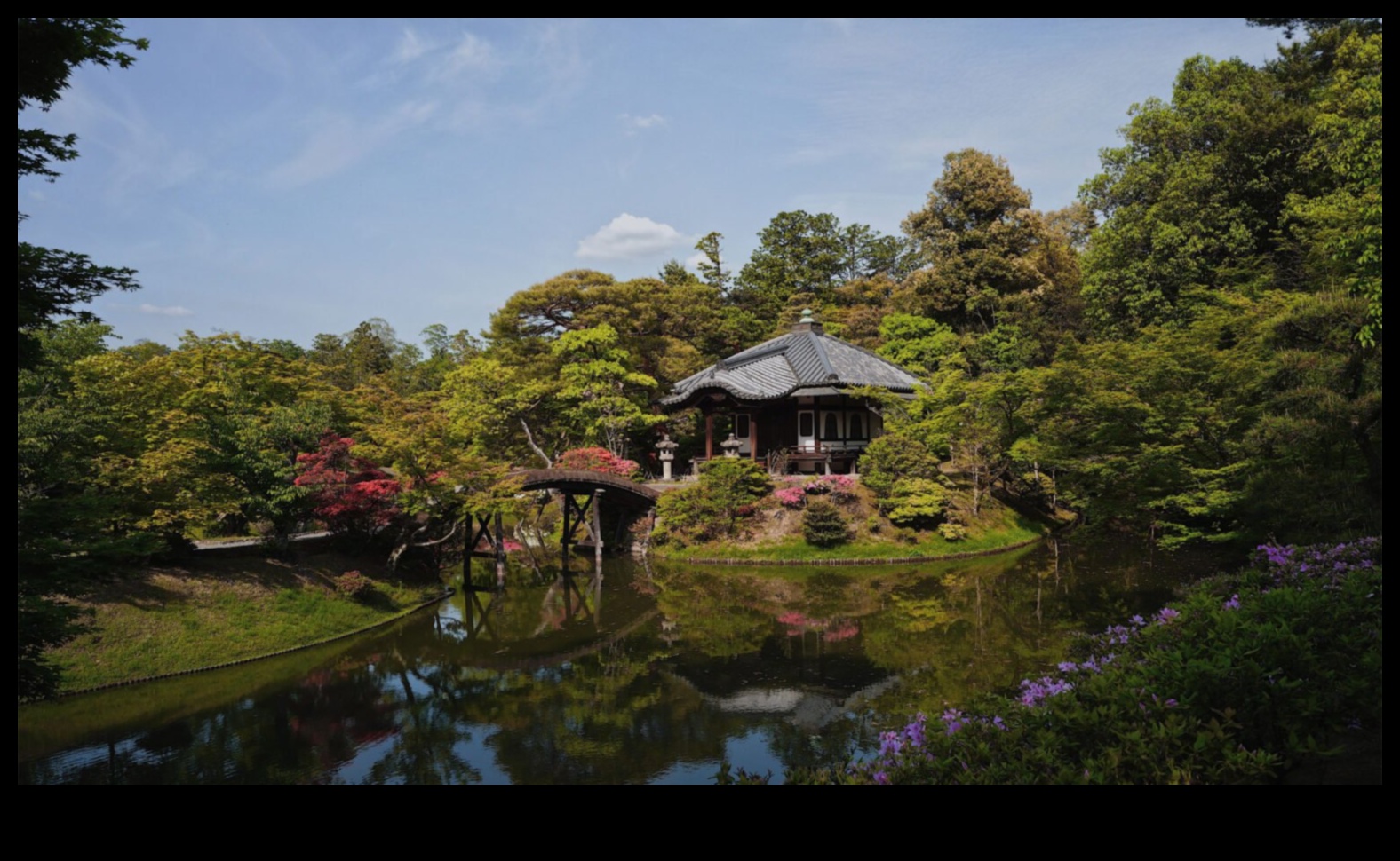 Her Yaprakta Japon Zarafet: Bahçecilik Bilgeliği